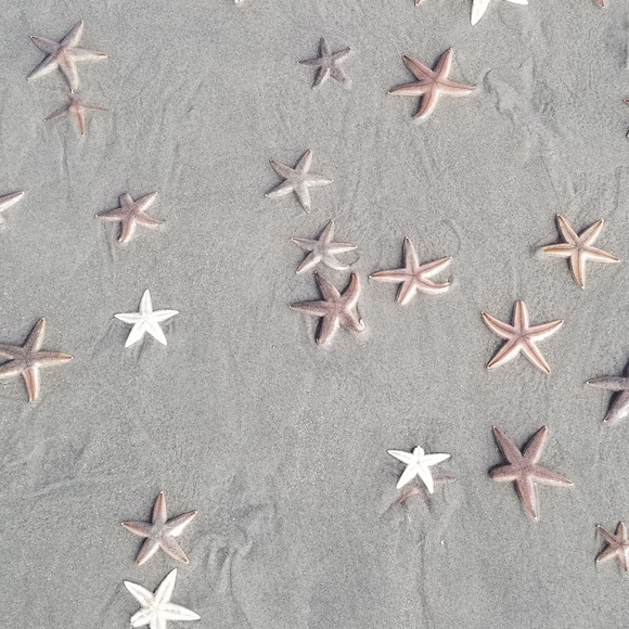 Meet your Posher, Nicolette - Picture 1 of 1